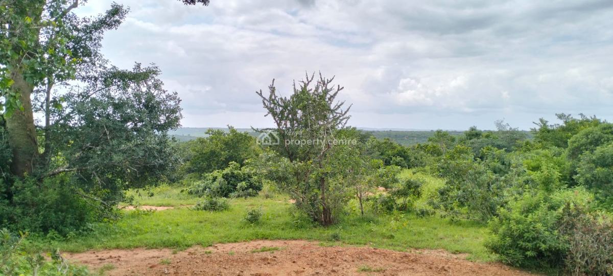 Farmland in Malindi Bore Singwaya, Bore Singwaya, Malindi Town, Kilifi, Mixed-use Land for Sale