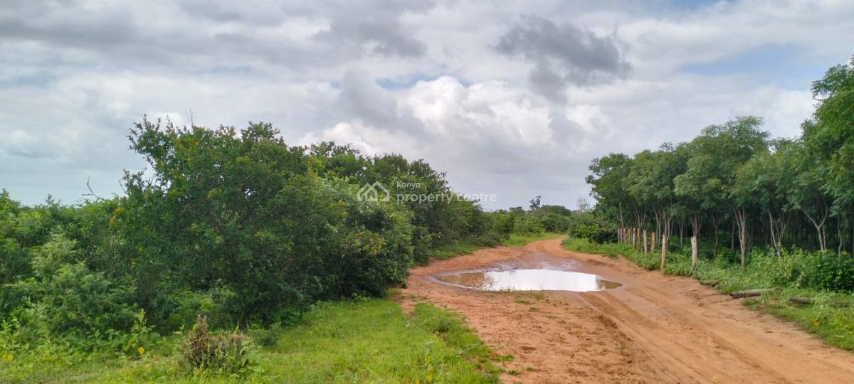 Farmland in Malindi Bore Singwaya, Bore Singwaya, Malindi Town, Kilifi, Mixed-use Land for Sale