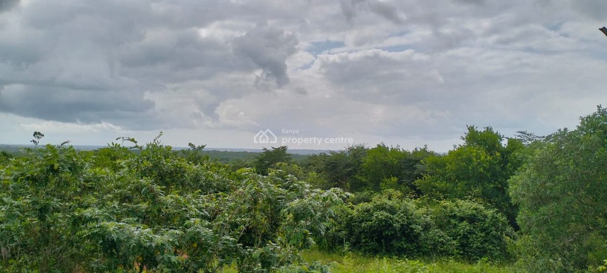 Farmland in Malindi Bore Singwaya, Bore Singwaya, Malindi Town, Kilifi, Mixed-use Land for Sale