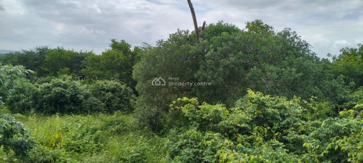 Farmland in Malindi Bore Singwaya, Bore Singwaya, Malindi Town, Kilifi, Mixed-use Land for Sale