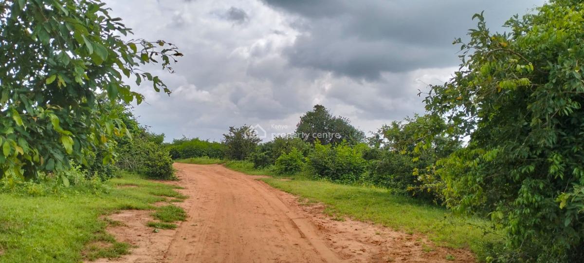Farmland in Malindi Bore Singwaya, Bore Singwaya, Malindi Town, Kilifi, Mixed-use Land for Sale