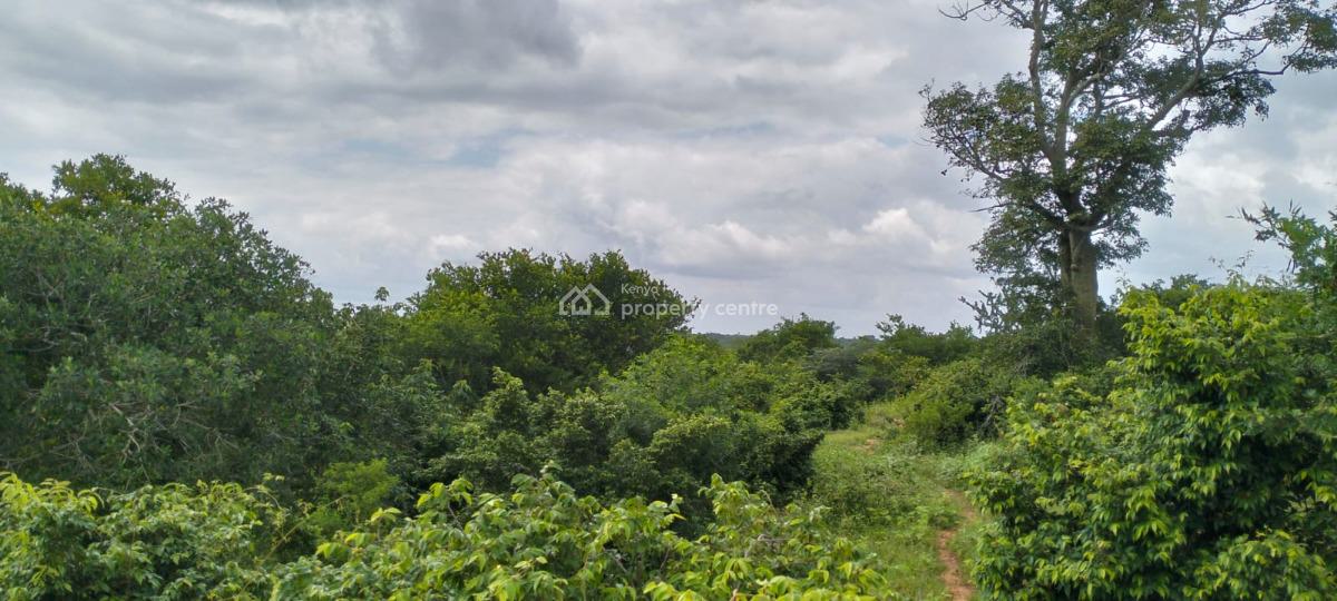 Farmland in Malindi Bore Singwaya, Bore Singwaya, Malindi Town, Kilifi, Mixed-use Land for Sale
