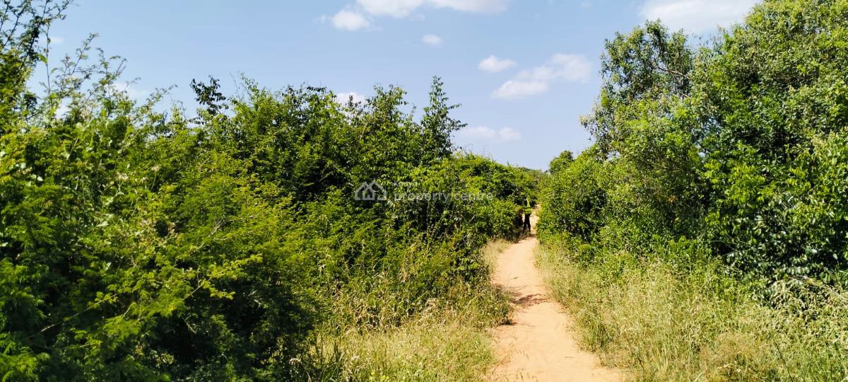 847‑acre Mulunguni Ranch for in Malindi -- Prime Agricultural Land, Mulunguni, Malindi Town, Kilifi, Mixed-use Land for Sale