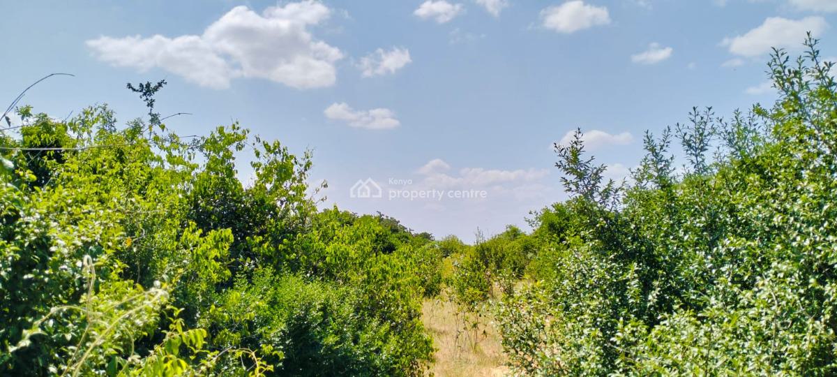 847‑acre Mulunguni Ranch for in Malindi -- Prime Agricultural Land, Mulunguni, Malindi Town, Kilifi, Mixed-use Land for Sale