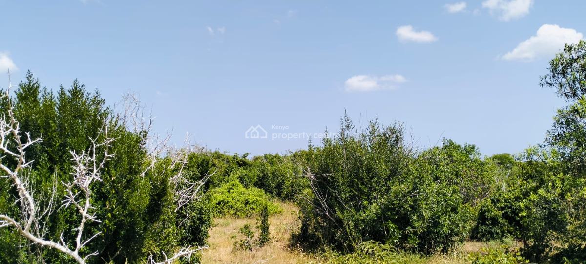 847‑acre Mulunguni Ranch for in Malindi -- Prime Agricultural Land, Mulunguni, Malindi Town, Kilifi, Mixed-use Land for Sale