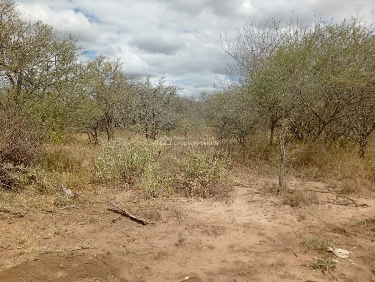 Eselenkei 189 Acres, Mbirikani/eselenkei, Kajiado, Mixed-use Land for Sale