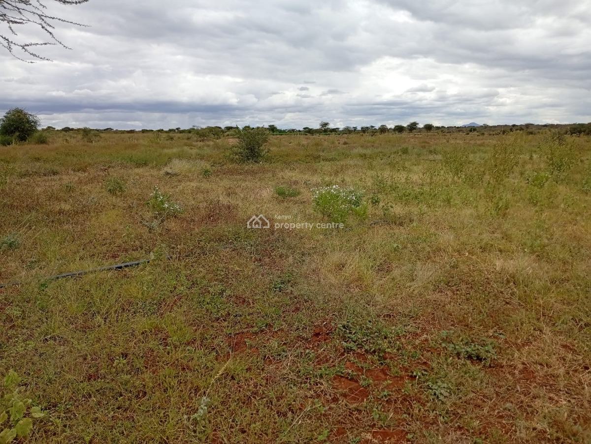 Eselenkei 189 Acres, Mbirikani/eselenkei, Kajiado, Mixed-use Land for Sale
