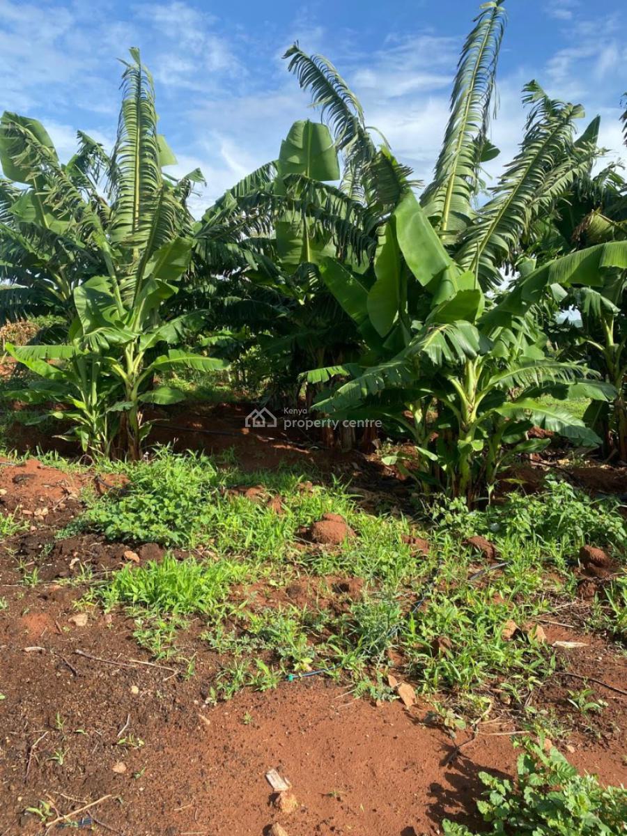 50-acre Agricultural Haven in Ishiara, Embu -- Perfect for Large-scale, Ishiara, Mbeere North, Mbeti North, Embu, Land for Sale