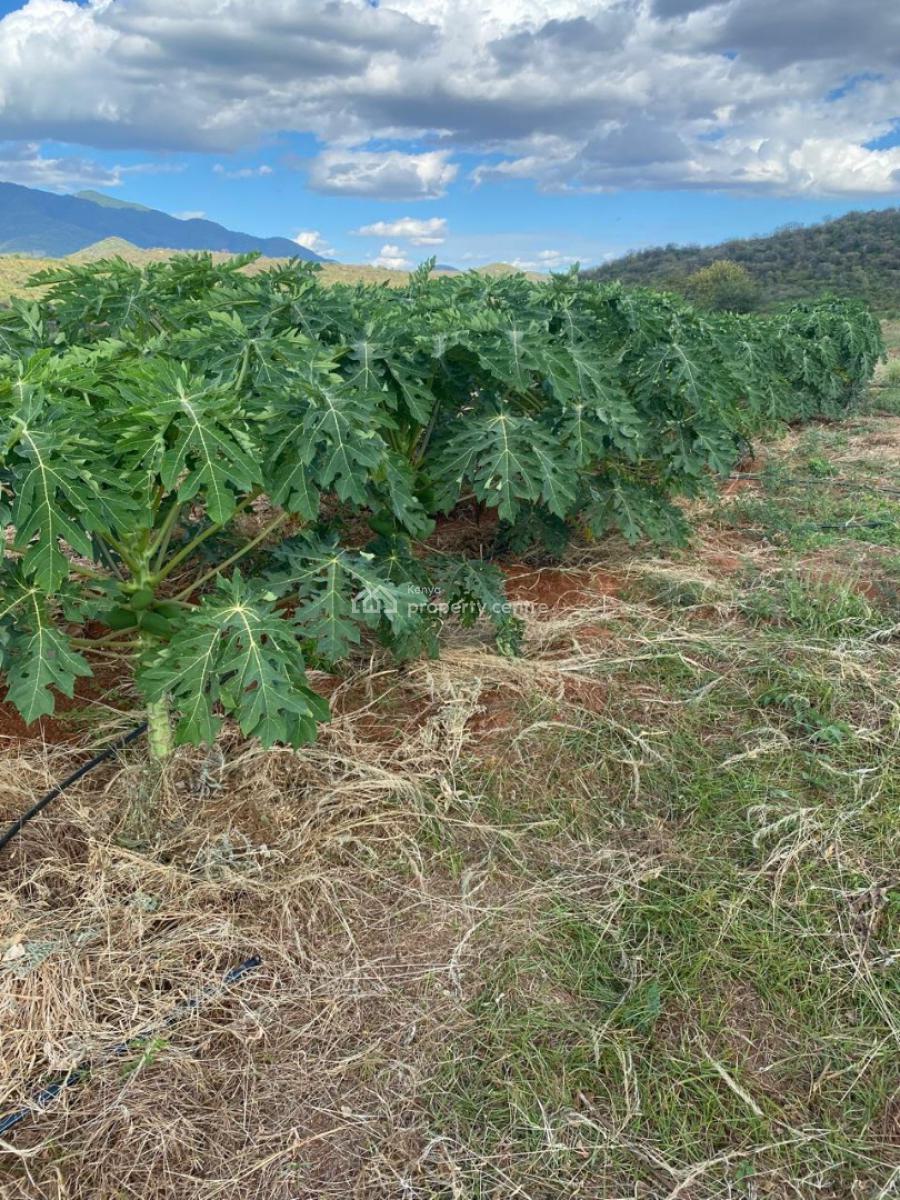 50-acre Agricultural Haven in Ishiara, Embu -- Perfect for Large-scale, Ishiara, Mbeere North, Mbeti North, Embu, Land for Sale