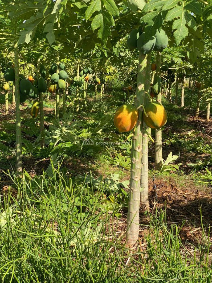 50-acre Agricultural Haven in Ishiara, Embu -- Perfect for Large-scale, Ishiara, Mbeere North, Mbeti North, Embu, Land for Sale