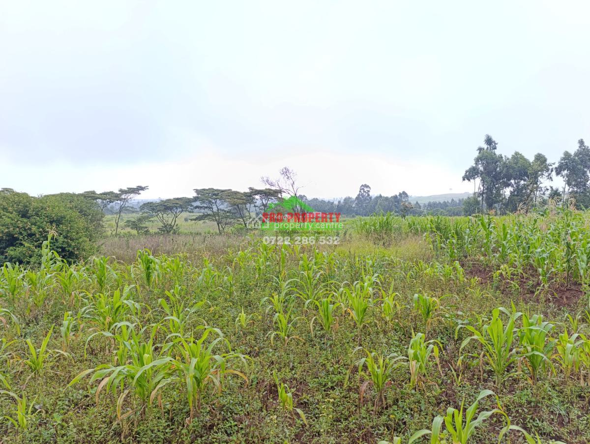Residential Plot Behind Nairobi Ndogo, Gikambura,, Kikuyu, Kiambu, Residential Land for Sale