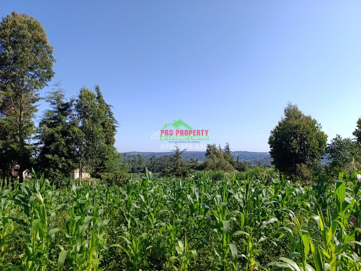 Prime Residential Plots, Gikambura, Jambu Tv Rd, Kikuyu, Kiambu, Residential Land for Sale