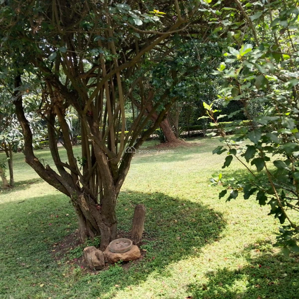 2 Bedroom House, Hardy Area, Karen, Nairobi, House for Rent
