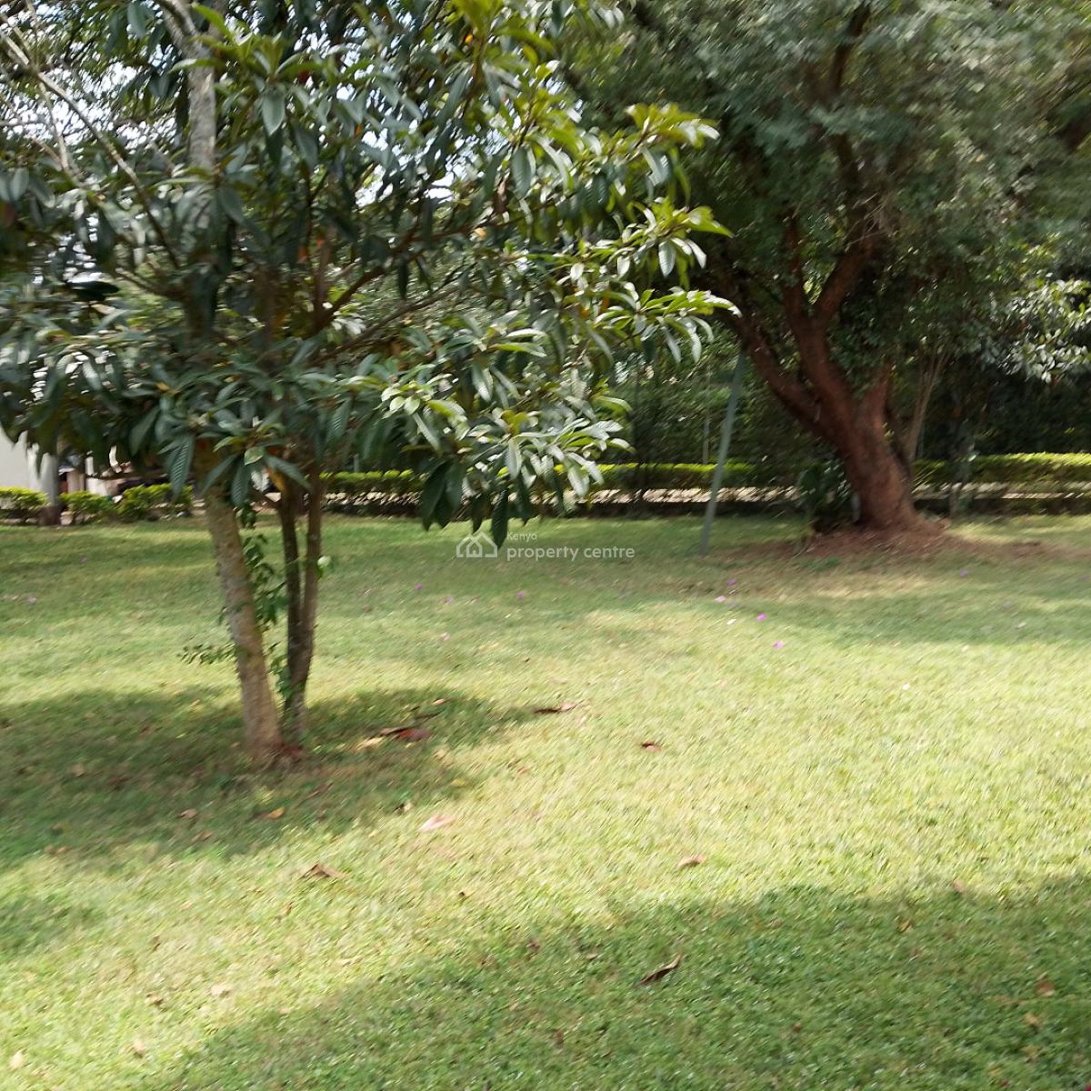 2 Bedroom House, Hardy Area, Karen, Nairobi, House for Rent