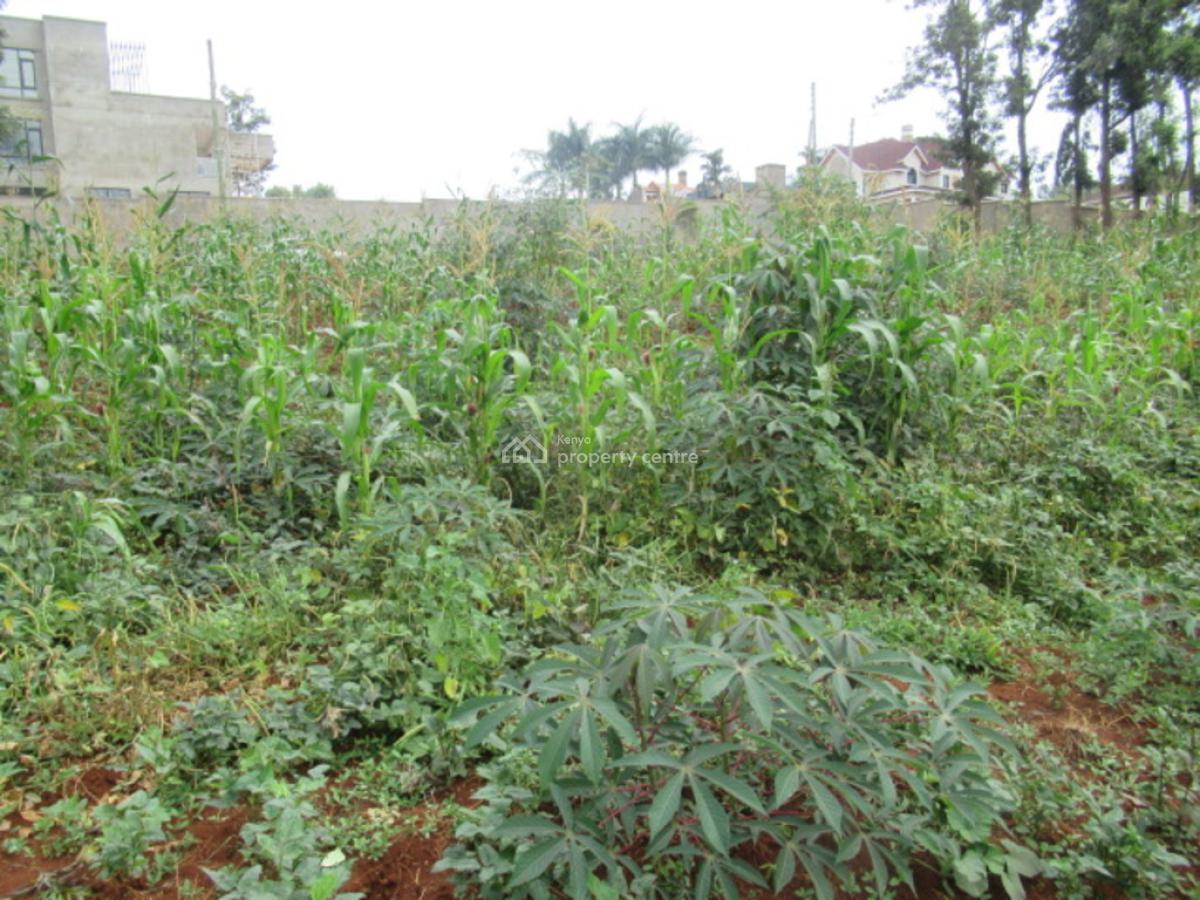 0.5-acre Plot for Development, Mushroom Gardens, Thindigua, Nairobi, Residential Land for Sale