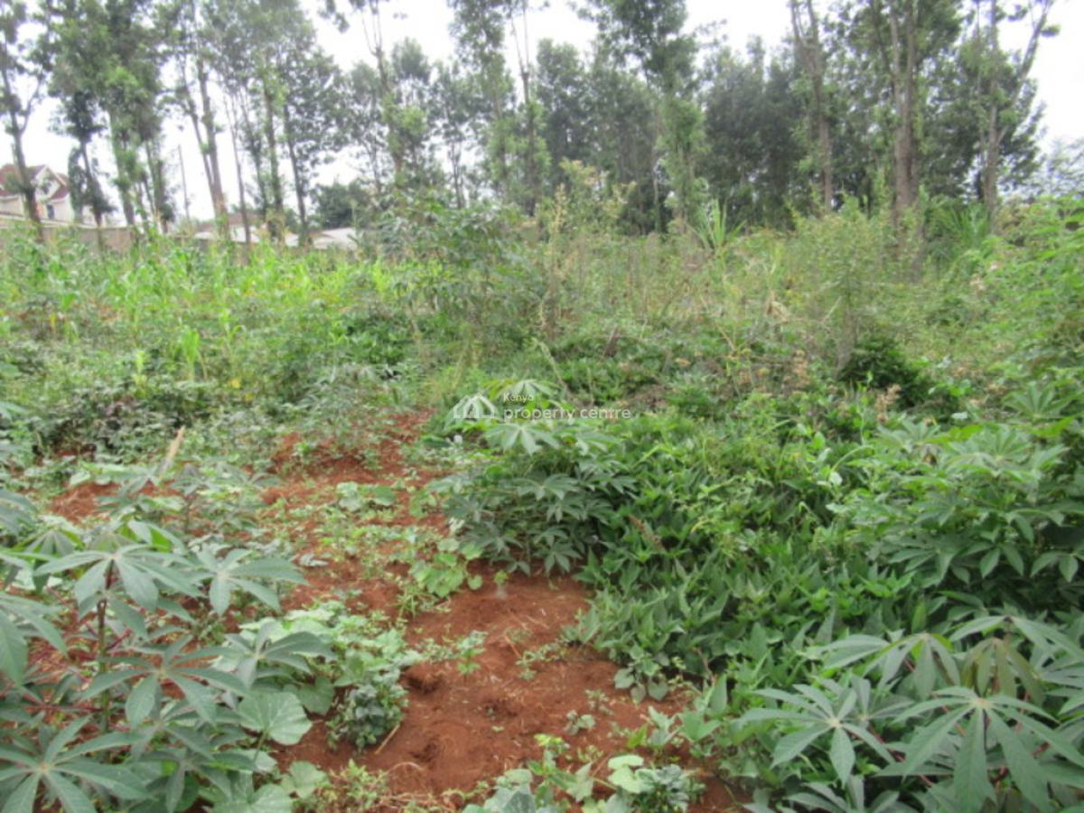 0.5-acre Plot for Development, Mushroom Gardens, Thindigua, Nairobi, Residential Land for Sale