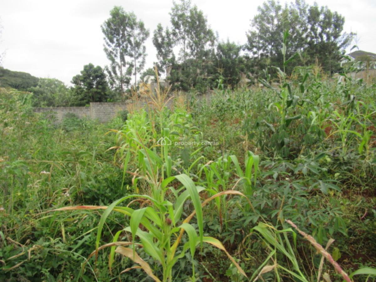 0.5-acre Plot for Development, Mushroom Gardens, Thindigua, Nairobi, Residential Land for Sale