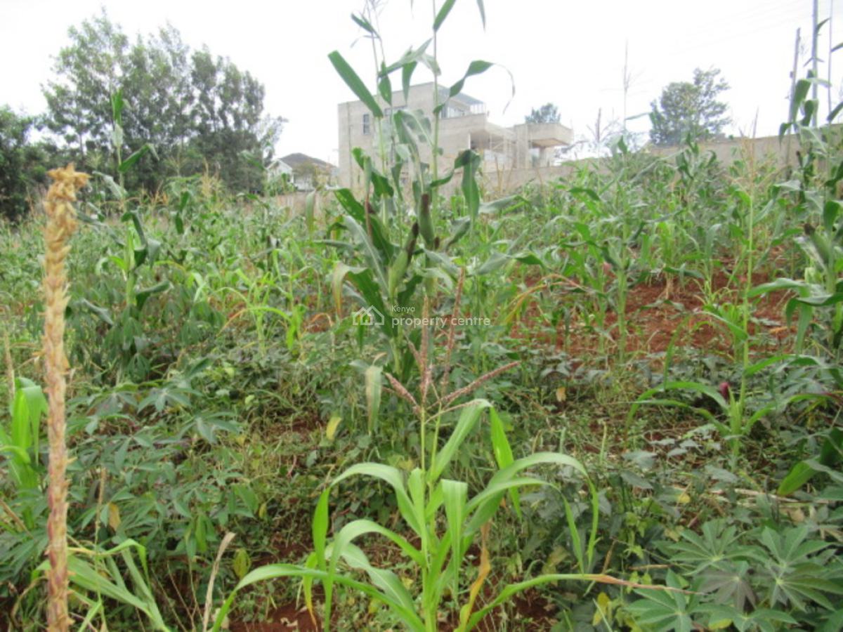 0.5-acre Plot for Development, Mushroom Gardens, Thindigua, Nairobi, Residential Land for Sale