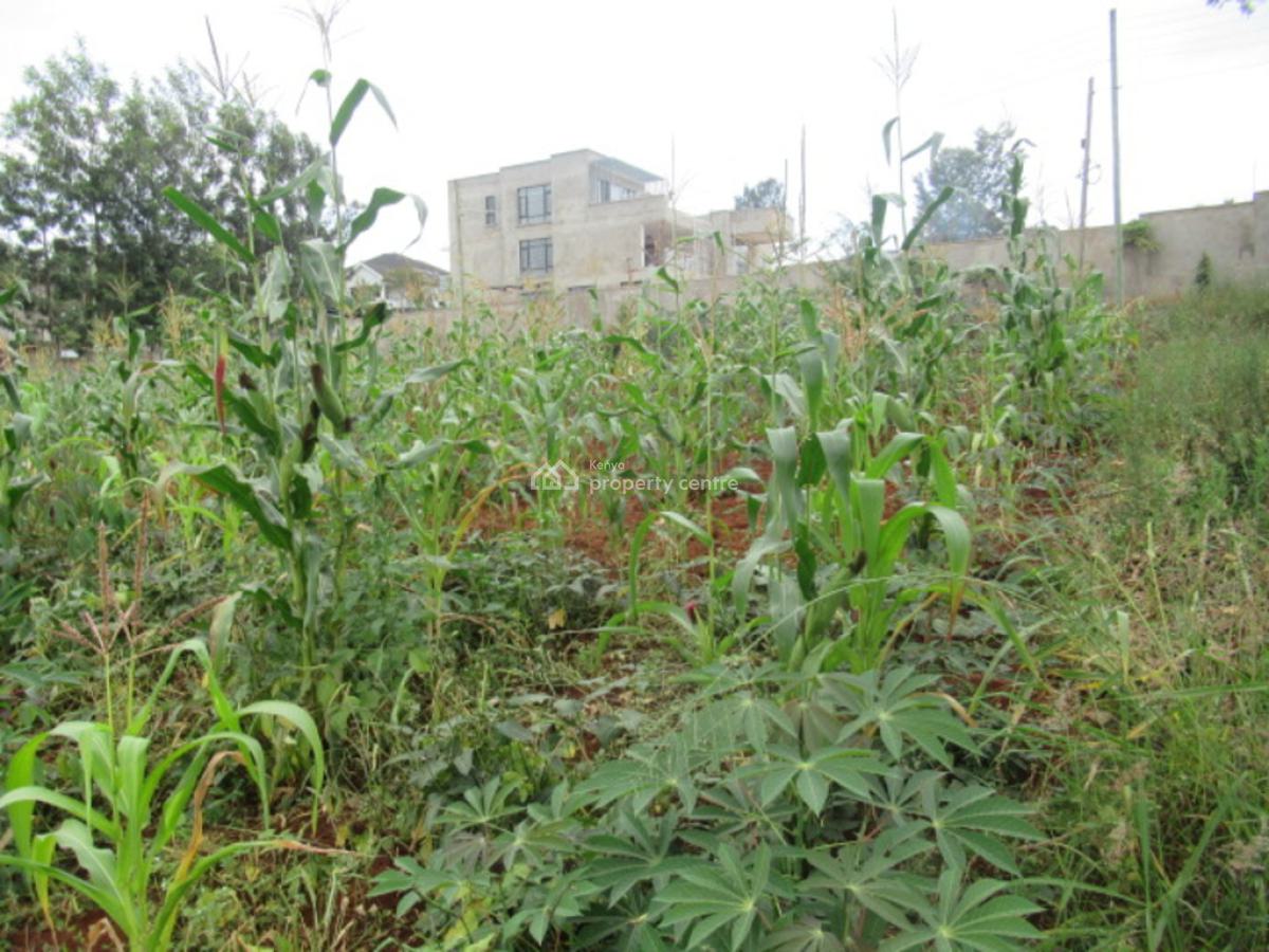 0.5-acre Plot for Development, Mushroom Gardens, Thindigua, Nairobi, Residential Land for Sale