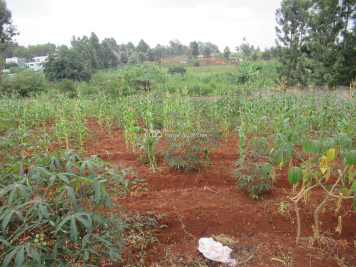 0.5-acre Plot for Development, Mushroom Gardens, Thindigua, Nairobi, Residential Land for Sale