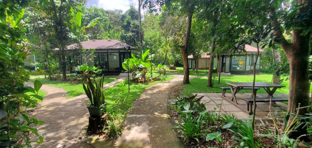 Gazebo Style Office Spaces, Ngong Road, Karen, Nairobi, Office Space for Rent
