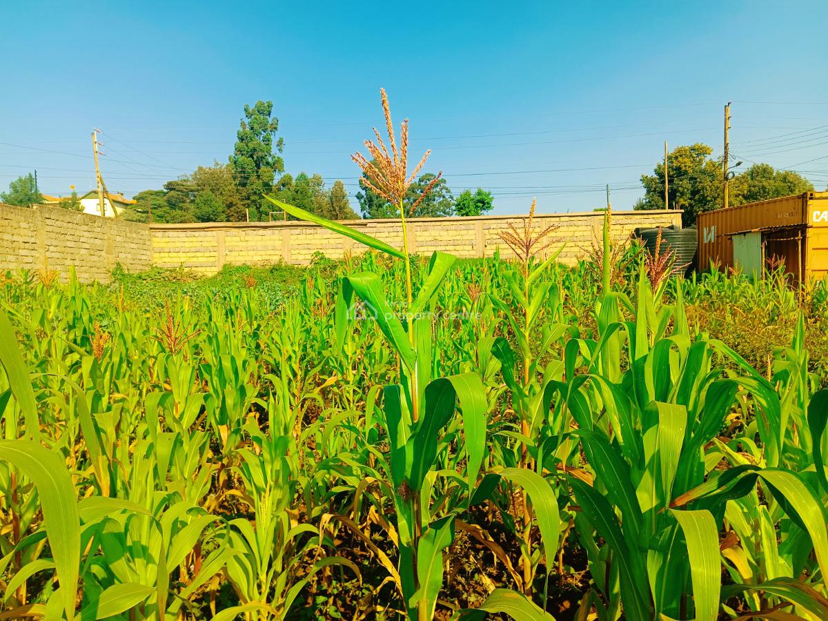 Fully Serviced Plot Available in Kikuyu, Kiambu County!, Gikambura, Green Garden Main School Area, Kikuyu, Kiambu, Residential Land for Sale