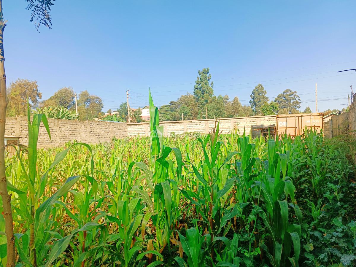 Fully Serviced Plot Available in Kikuyu, Kiambu County!, Gikambura, Green Garden Main School Area, Kikuyu, Kiambu, Residential Land for Sale