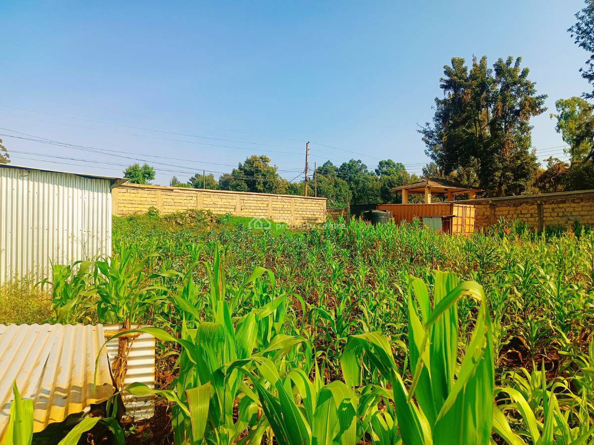 Fully Serviced Plot Available in Kikuyu, Kiambu County!, Gikambura, Green Garden Main School Area, Kikuyu, Kiambu, Residential Land for Sale