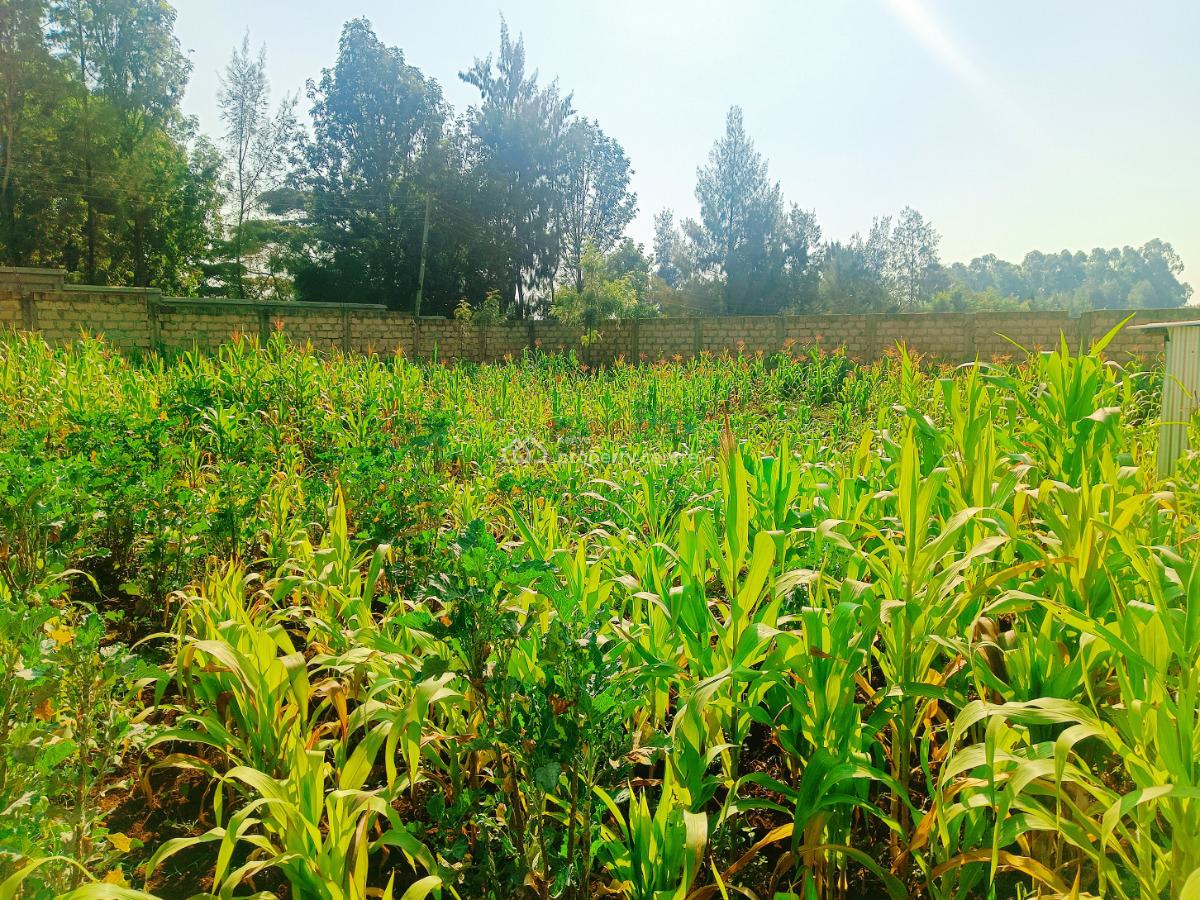 Fully Serviced Plot Available in Kikuyu, Kiambu County!, Gikambura, Green Garden Main School Area, Kikuyu, Kiambu, Residential Land for Sale