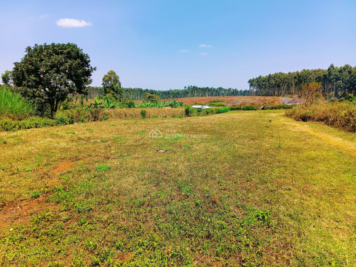 Residential Plost Available in Kikuyu, Kiambu County!, Thogoto, Damacrest School Area, Kikuyu, Kiambu, Residential Land for Sale