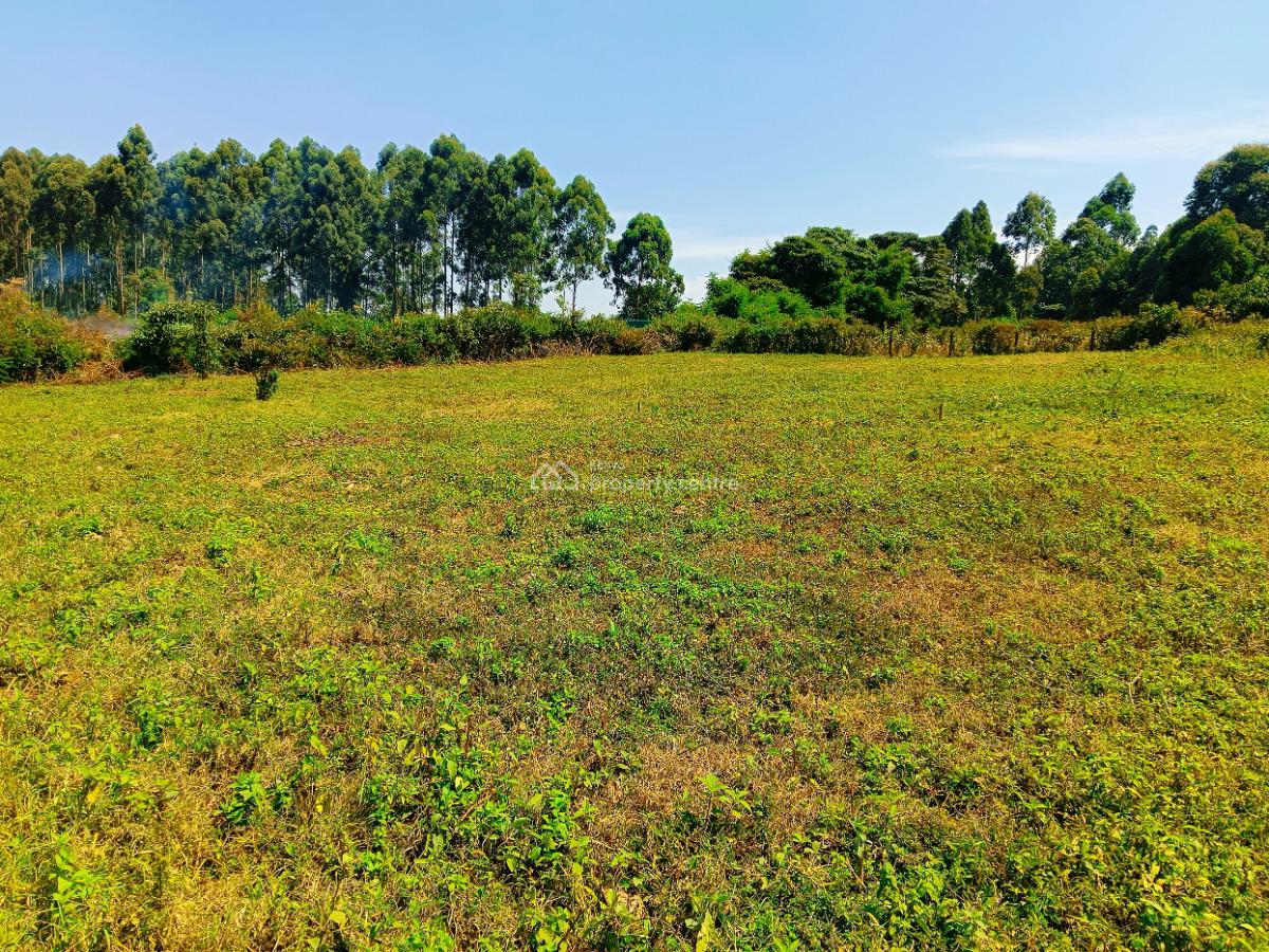 Residential Plost Available in Kikuyu, Kiambu County!, Thogoto, Damacrest School Area, Kikuyu, Kiambu, Residential Land for Sale