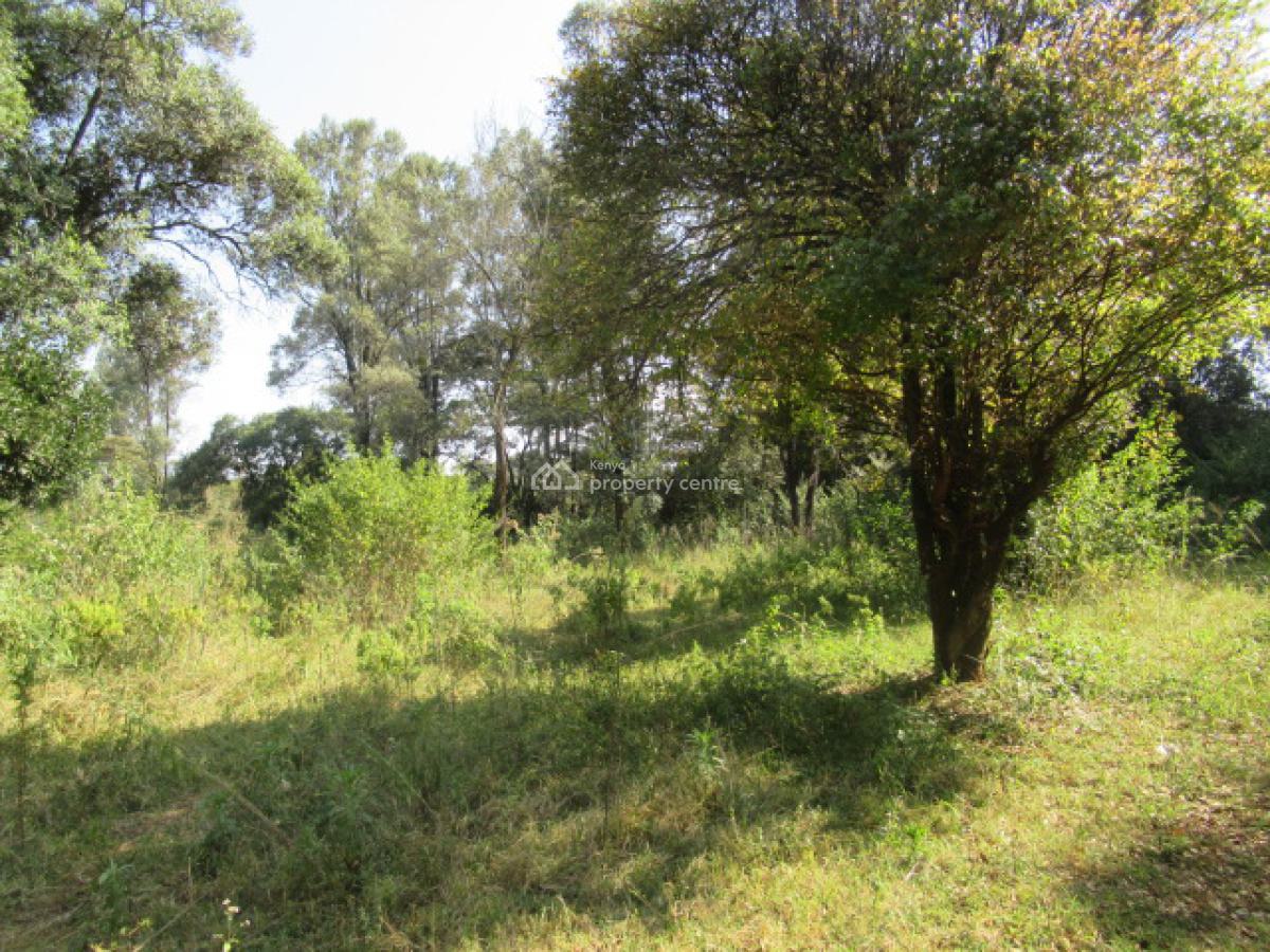 9 Acres of Land for Development, Karen Hardy, Karen, Nairobi, Land for Sale