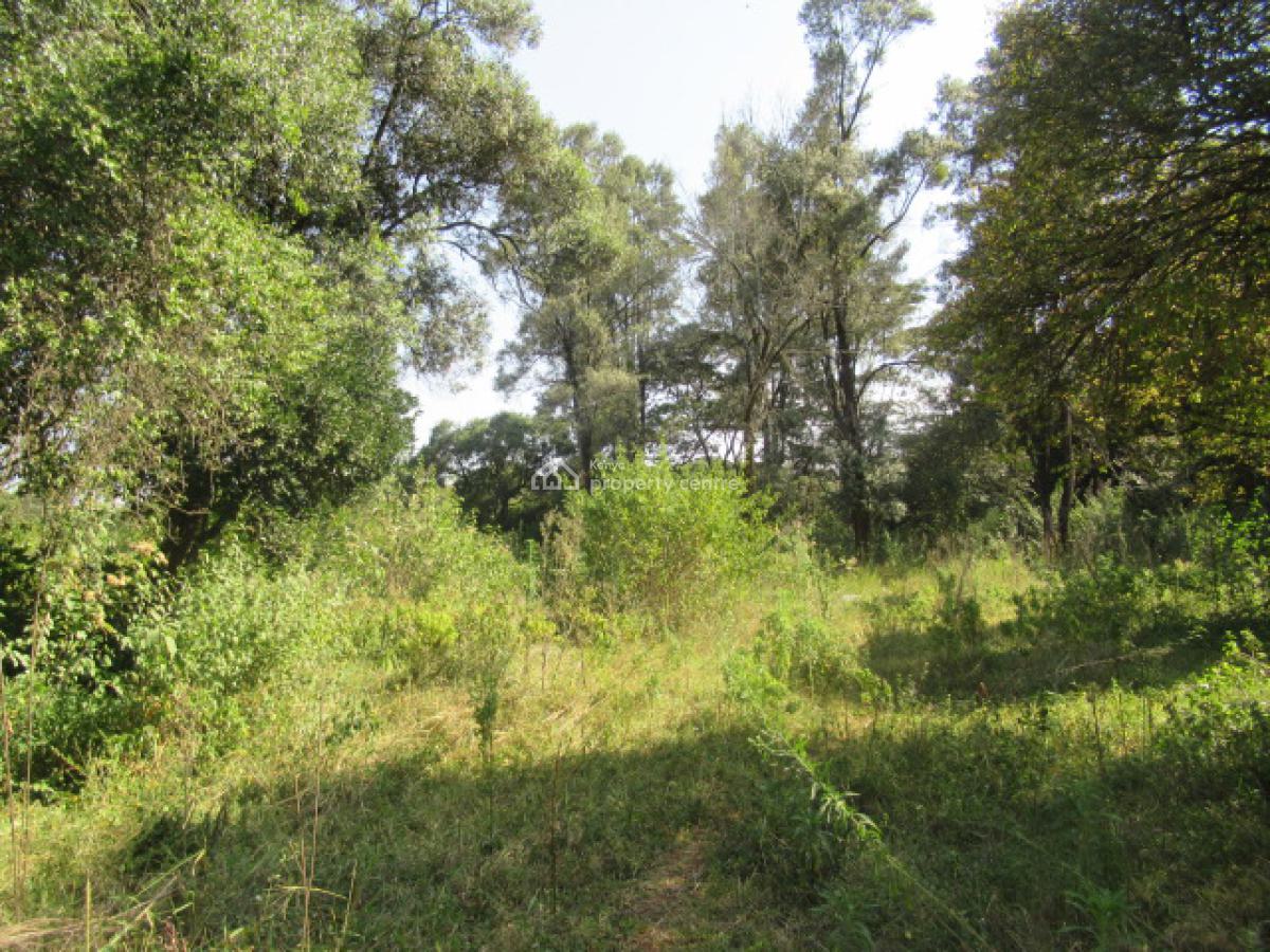 9 Acres of Land for Development, Karen Hardy, Karen, Nairobi, Land for Sale