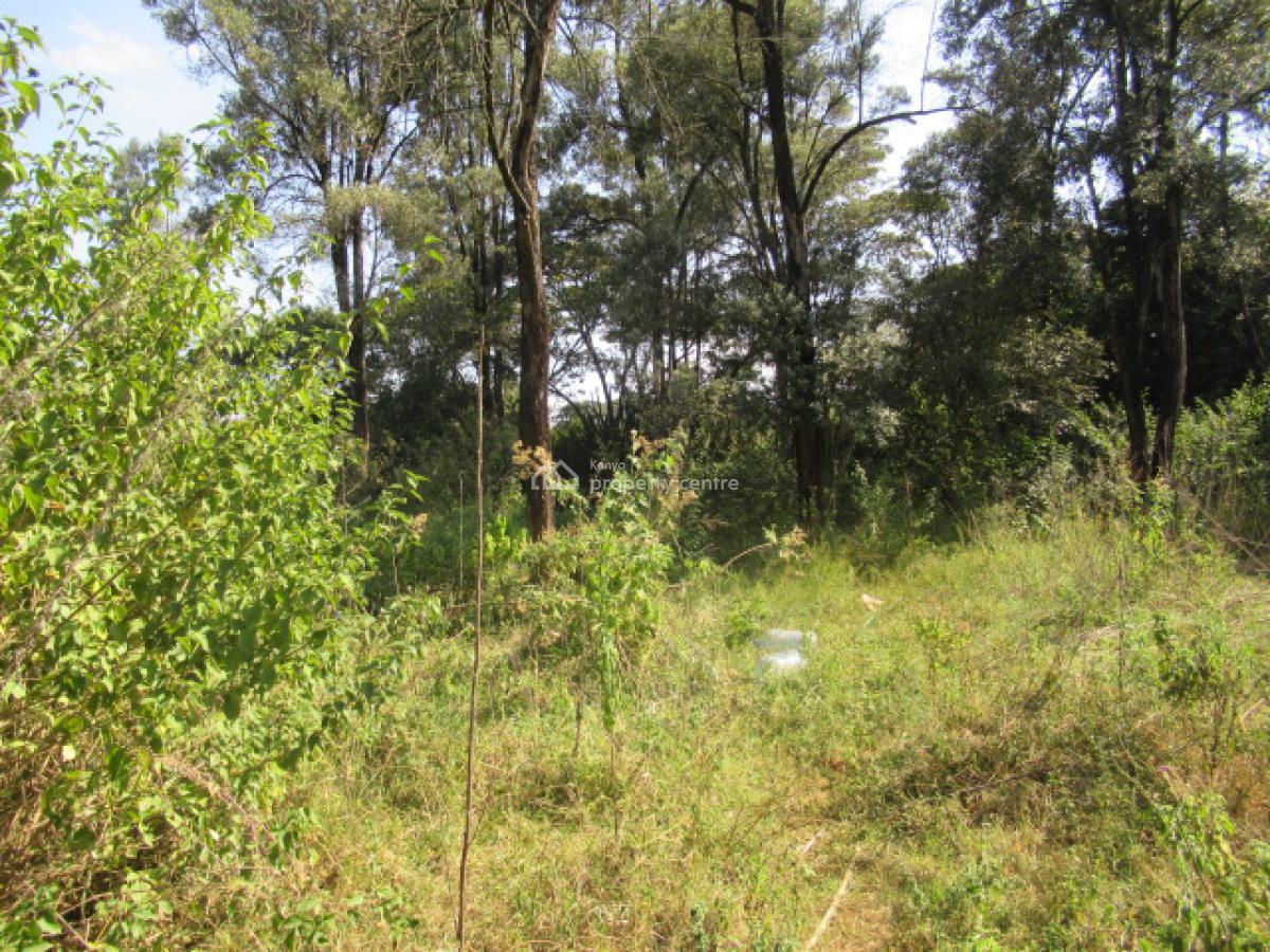 9 Acres of Land for Development, Karen Hardy, Karen, Nairobi, Land for Sale