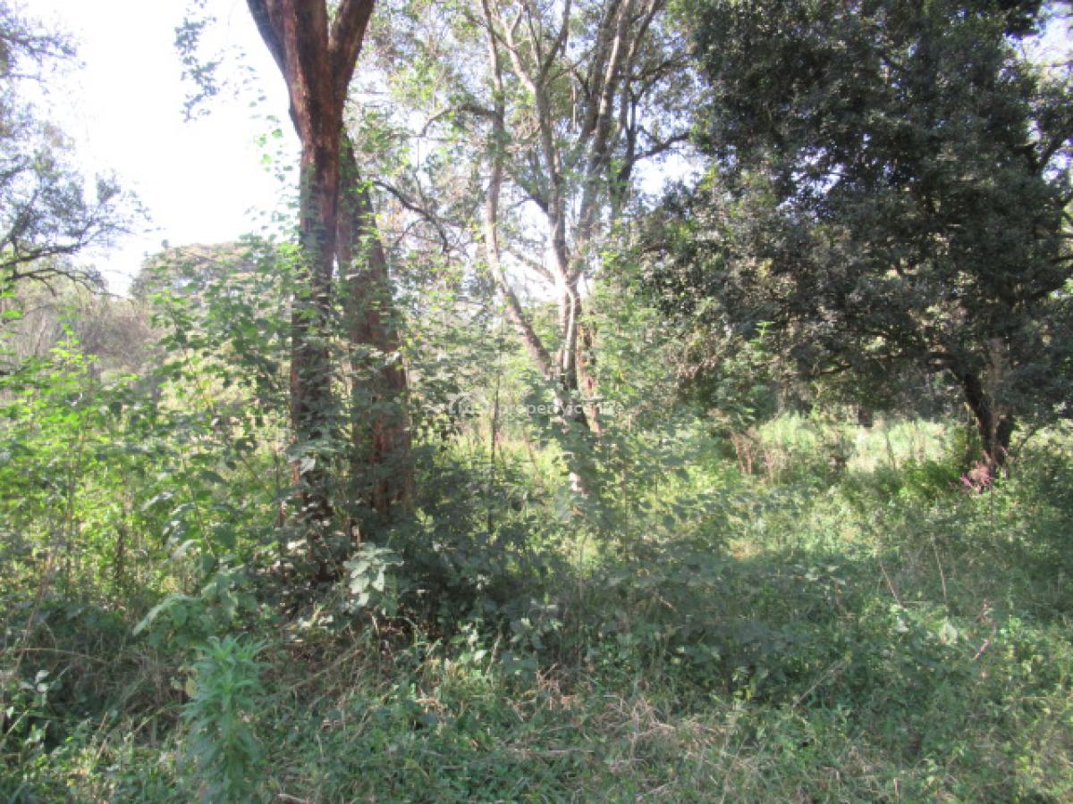 9 Acres of Land for Development, Karen Hardy, Karen, Nairobi, Land for Sale