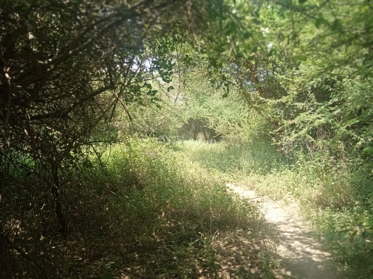 10 000 Acres Taveta, Mwatate, Taita Taveta, Mixed-use Land for Sale