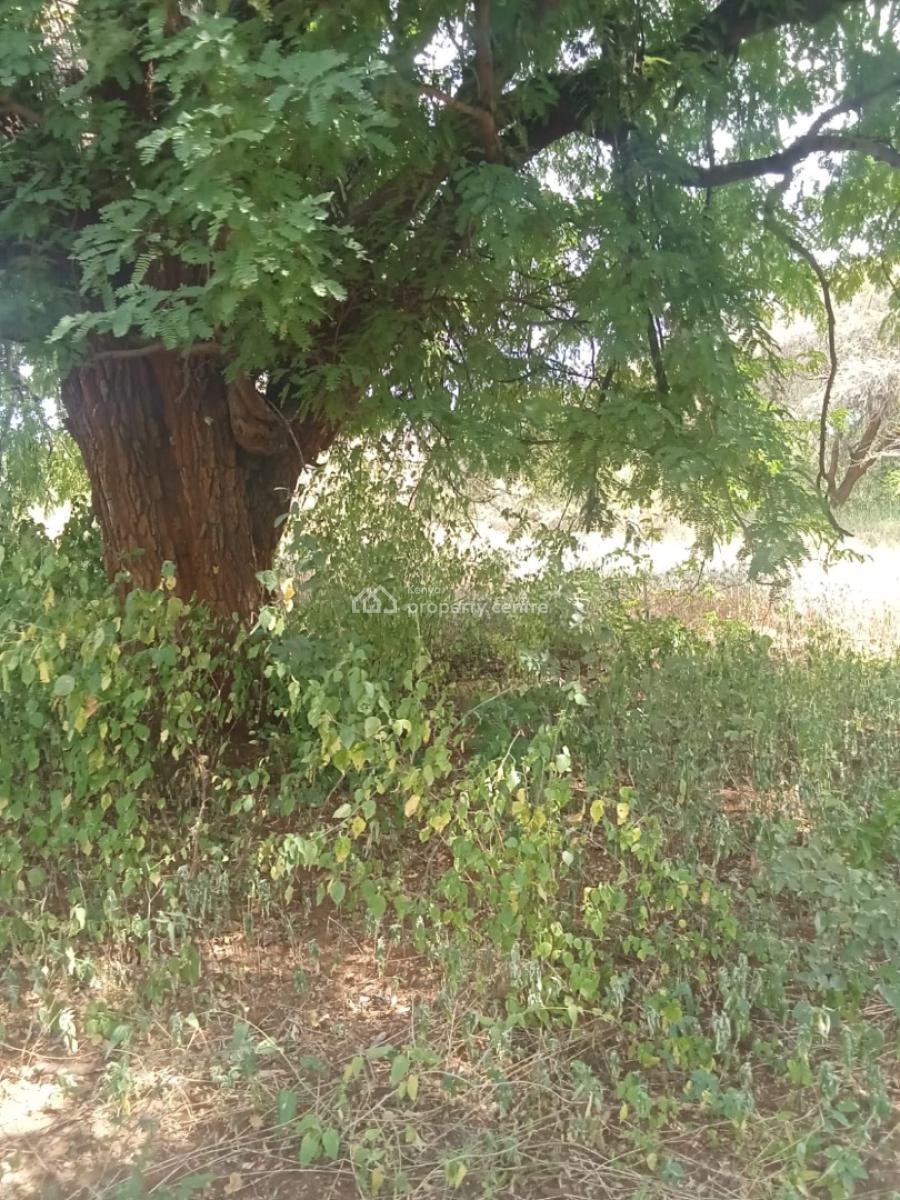 10 000 Acres Taveta, Mwatate, Taita Taveta, Mixed-use Land for Sale