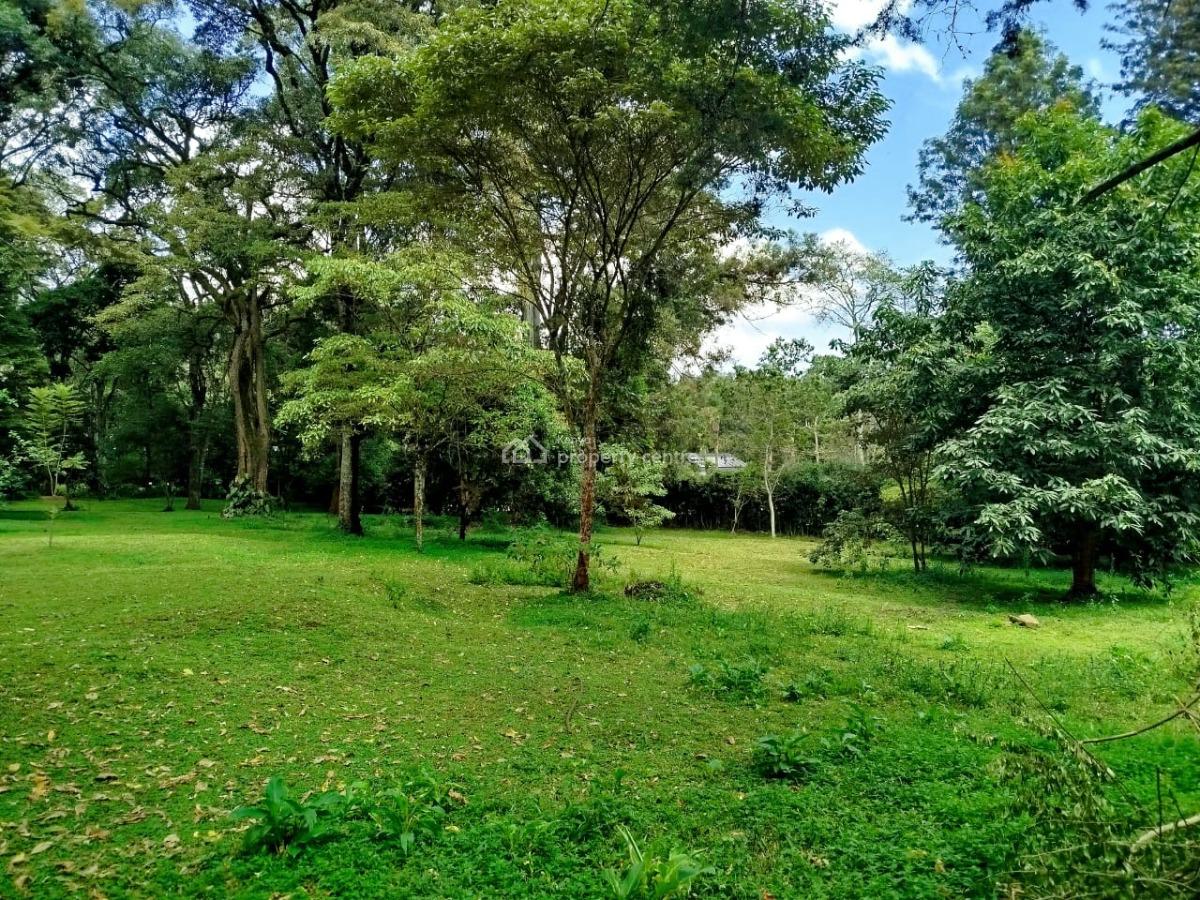 Prime 1 Acre with Ready Title Deed, Mwitu Road, Karen, Nairobi, Land for Sale