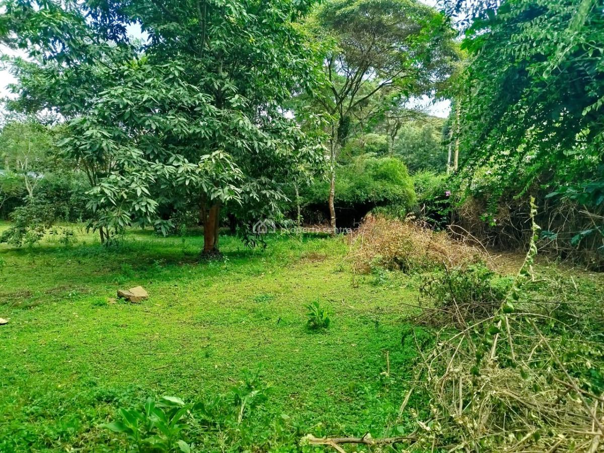 Prime 1 Acre with Ready Title Deed, Mwitu Road, Karen, Nairobi, Land for Sale