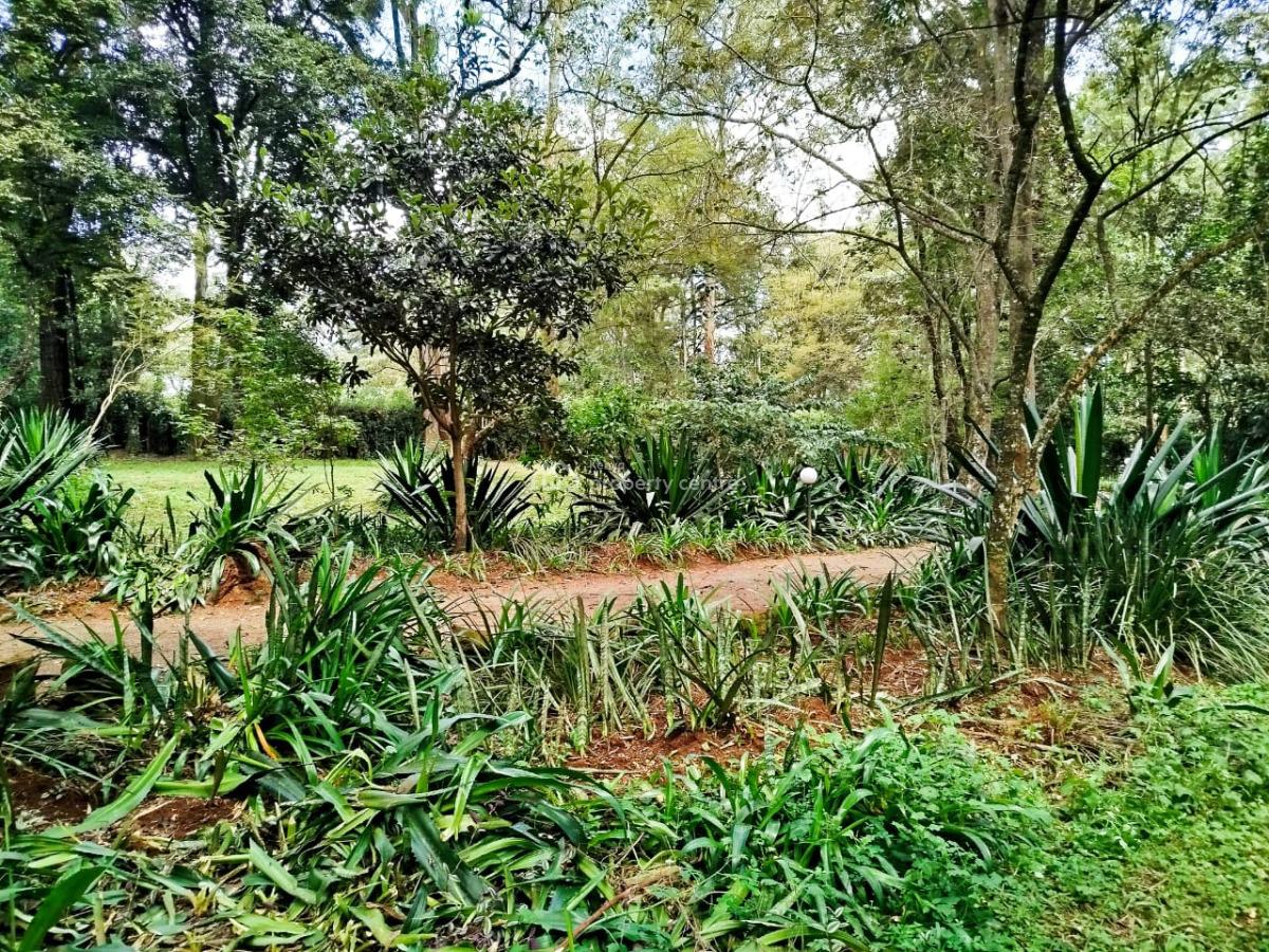 Prime 1 Acre with Ready Title Deed, Mwitu Road, Karen, Nairobi, Land for Sale