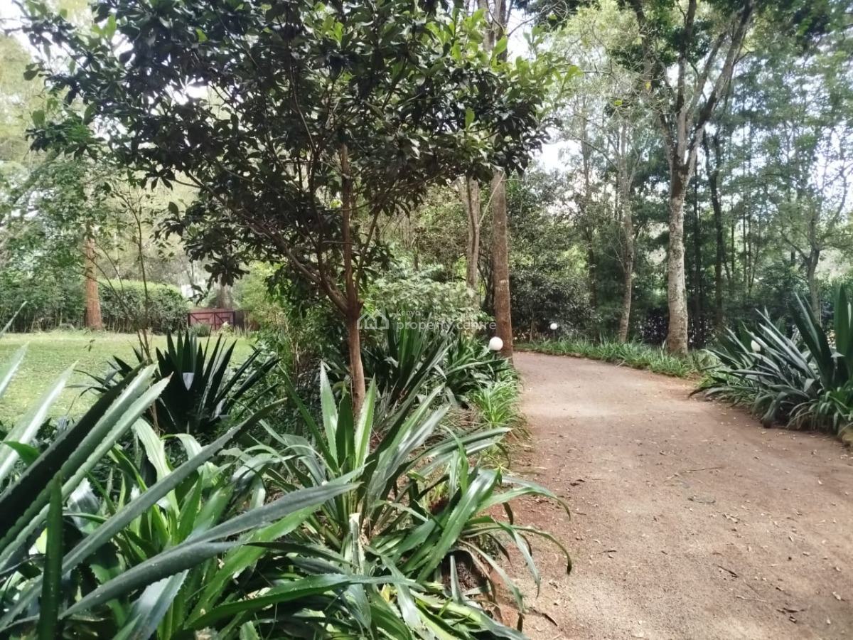 Prime 1 Acre with Ready Title Deed, Mwitu Road, Karen, Nairobi, Land for Sale