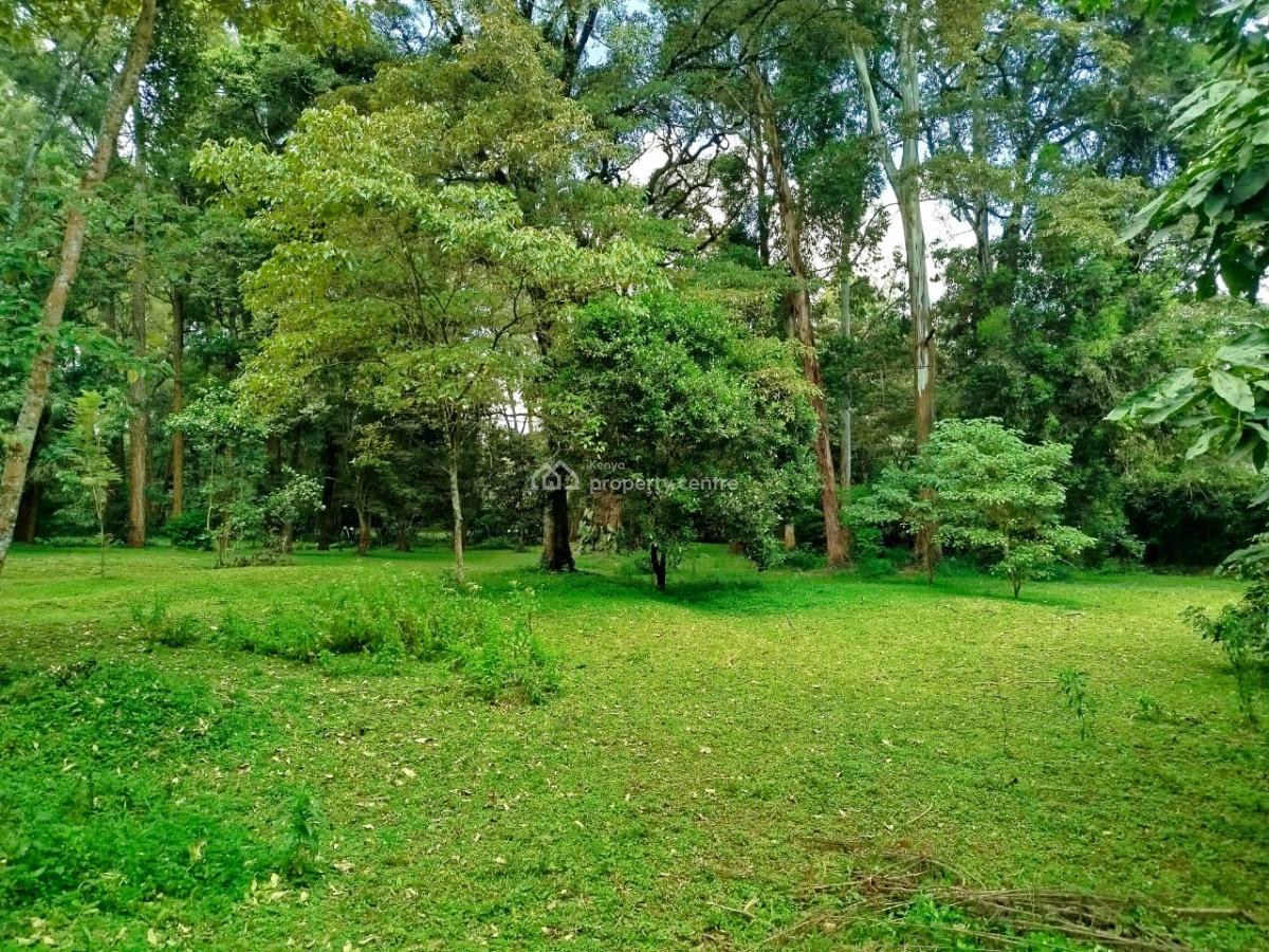 Prime 1 Acre with Ready Title Deed, Mwitu Road, Karen, Nairobi, Land for Sale