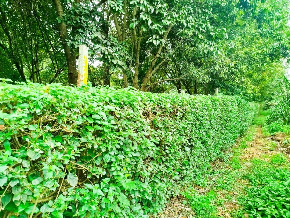 Prime 2 Acres Touching Tarmac, Karen End, Karen, Nairobi, Land for Sale