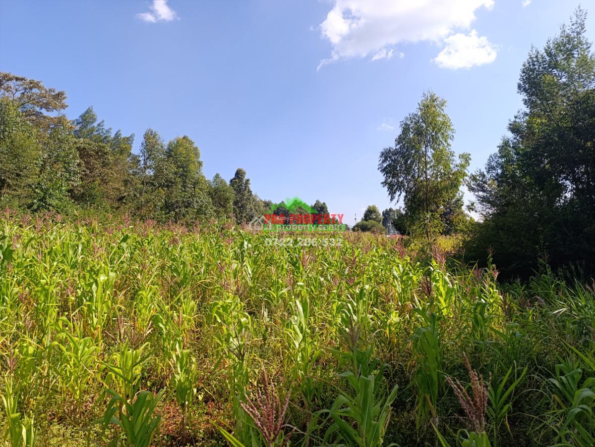 Residential Land in Kikuyu -- Ondiri  1/4 Acre (100x100ft), Ondiri - Karai, Kikuyu, Kiambu, Residential Land for Sale
