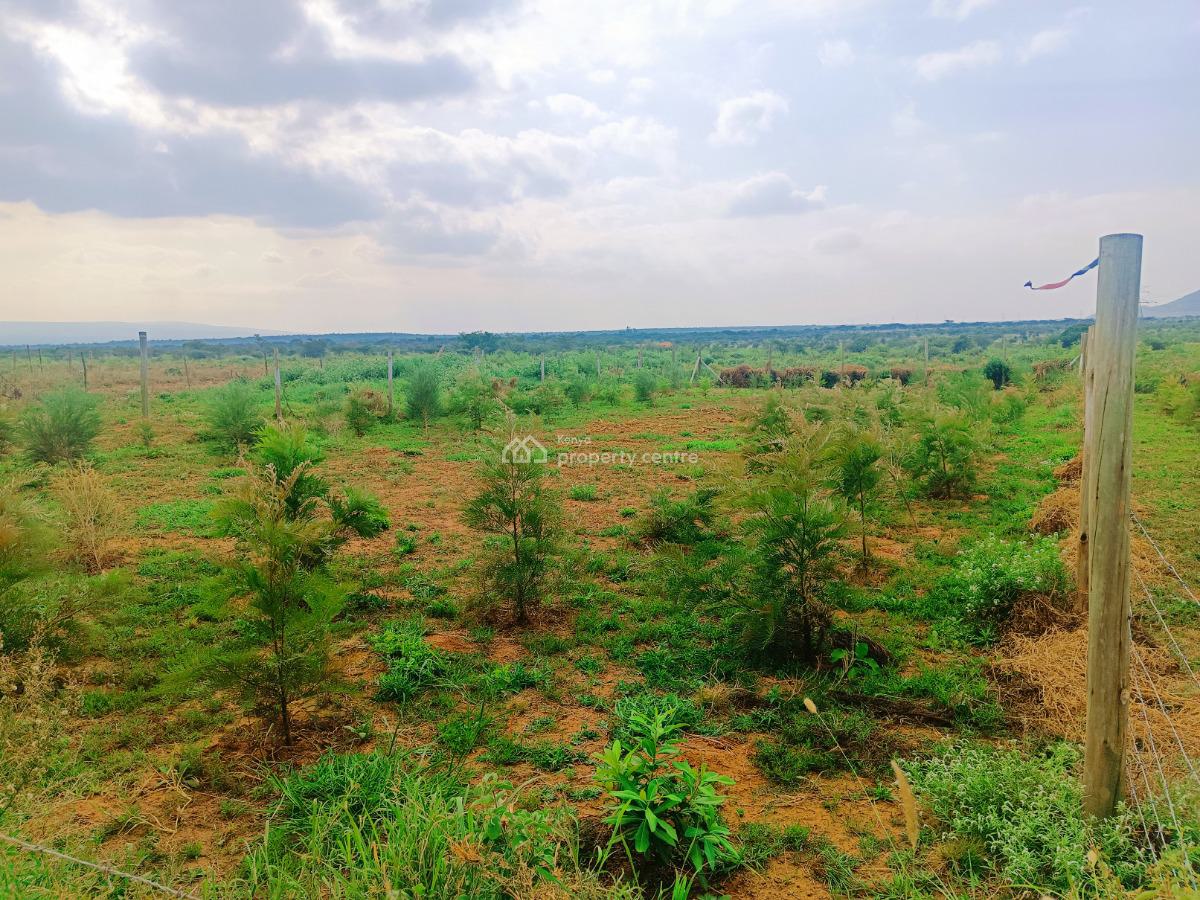 Secure Your Financial Future with Our Affordable Plots!, Ndiuni, Nachu, Kiambu, Residential Land for Sale
