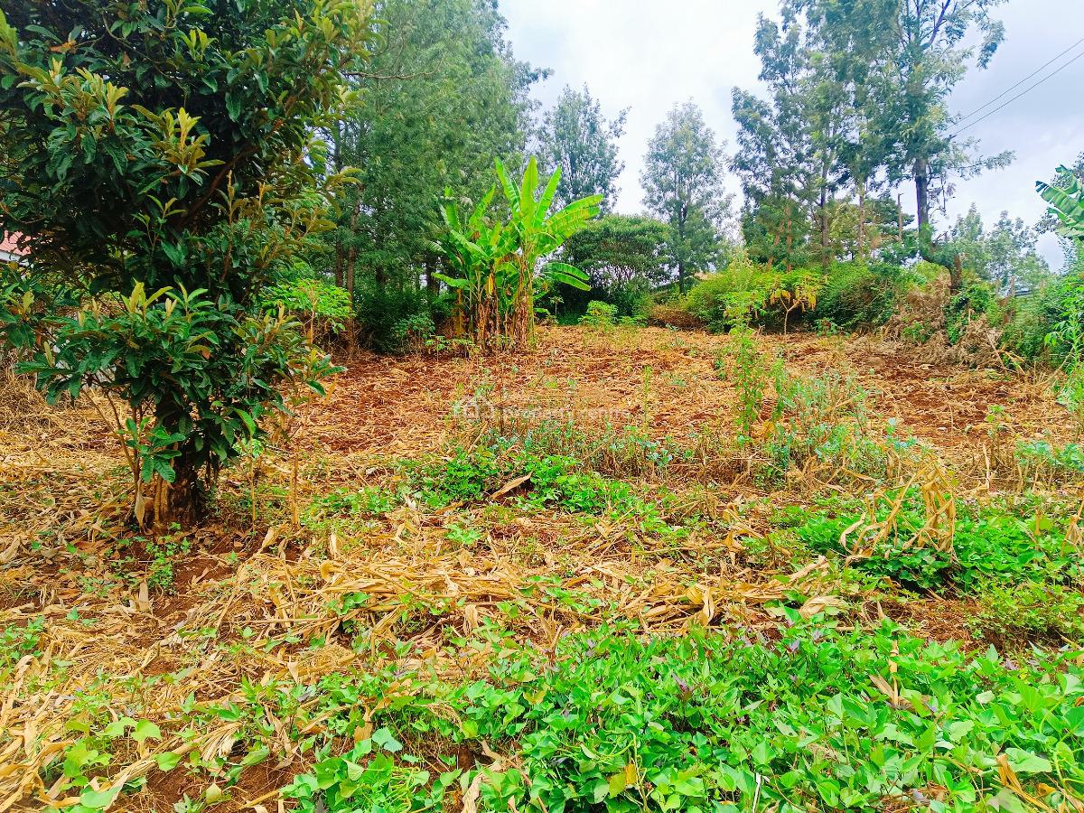 Build Your Dream Home on This Prime Residential Plot!, Ol-keri, Matasia, Ngong, Kajiado, Residential Land for Sale