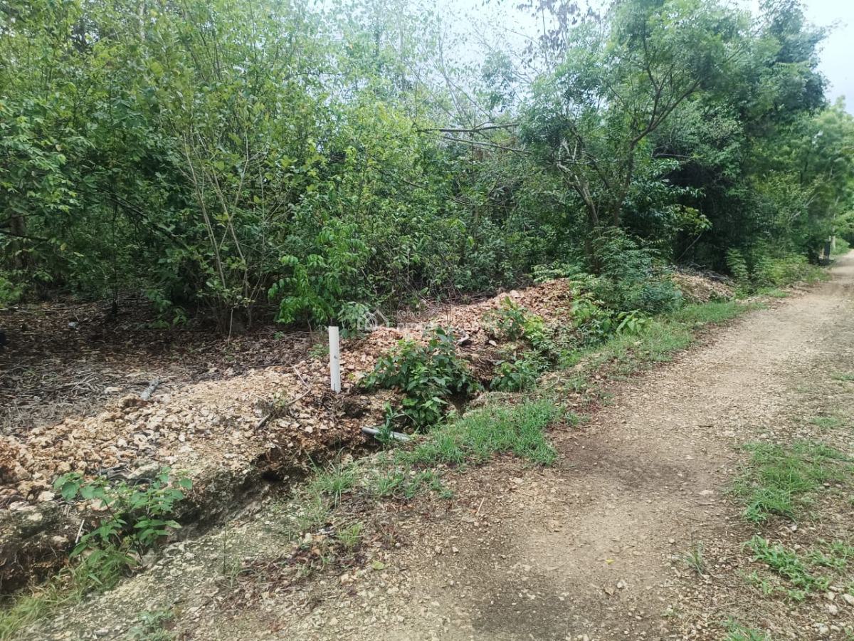 Prime Quarter Acre Beach Plots, Diani Beach Road, Diani Beach, Ukunda, Kwale, Mixed-use Land for Sale