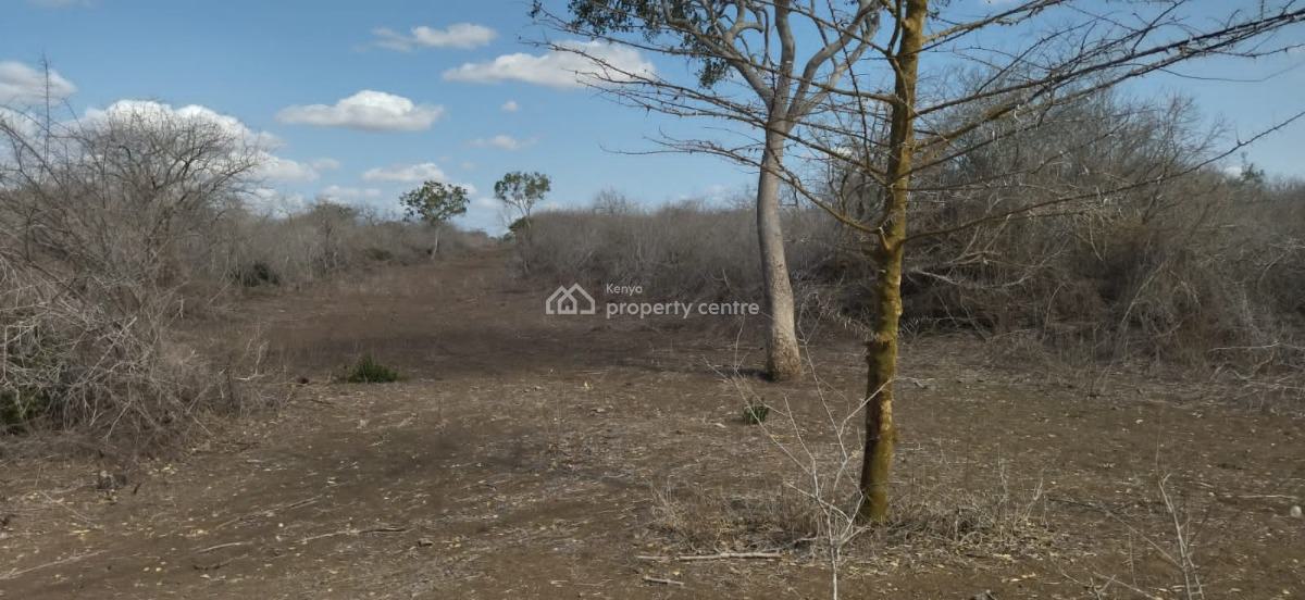 30 Acres in Malindi Adu Virgin Land, Adu, Malindi Town, Kilifi, Land for Sale