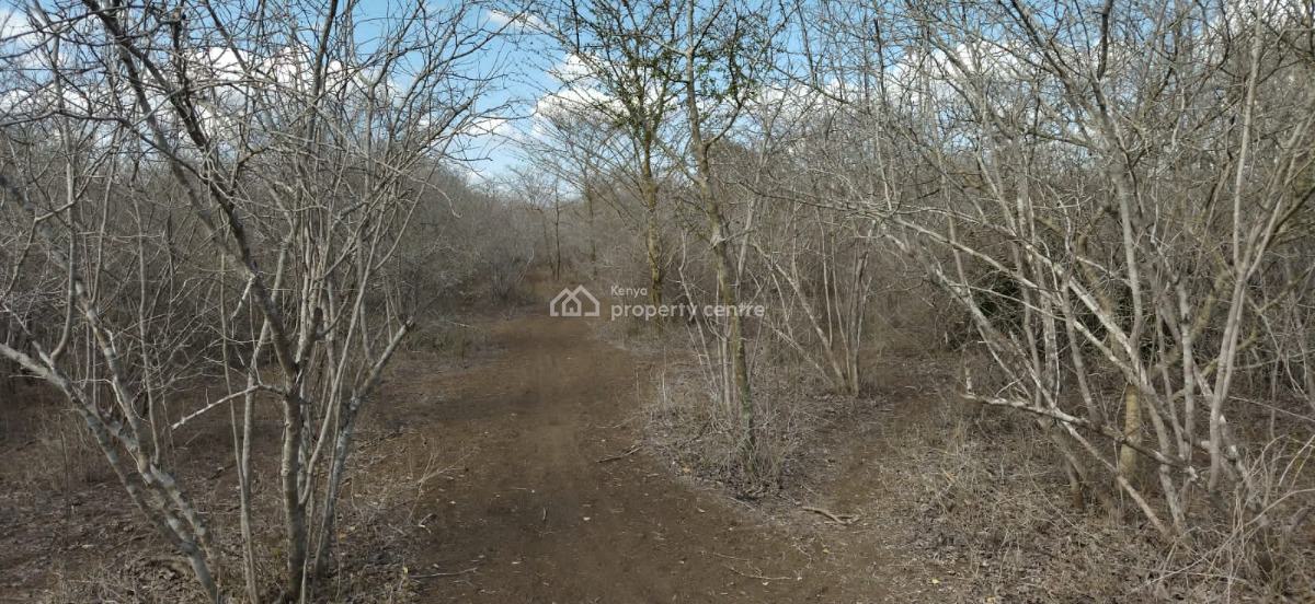 30 Acres in Malindi Adu Virgin Land, Adu, Malindi Town, Kilifi, Land for Sale