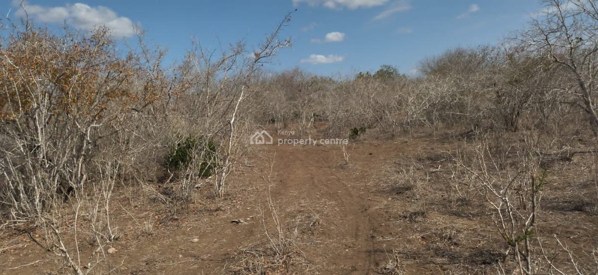 30 Acres in Malindi Adu Virgin Land, Adu, Malindi Town, Kilifi, Land for Sale